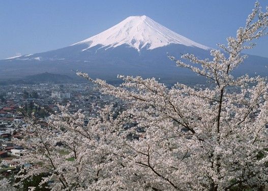 3月底將迎日本賞櫻高峰 3月底將迎日本賞櫻高峰
