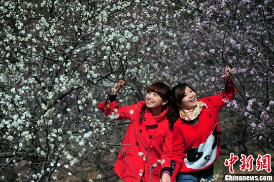 3月27日,北京市區(qū)氣溫回暖達(dá)到17度,明媚的陽(yáng)光下兩名游客在北京植物園的桃花源中賞桃游玩。 3月27日,北京市區(qū)氣溫回暖達(dá)到17度,明媚的陽(yáng)光下兩名游客在北京植物園的桃花源中賞桃游玩。