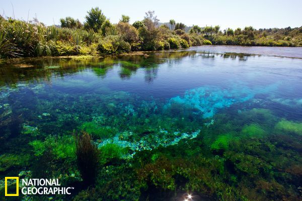 ѿȪTe Waikoropupu Springs