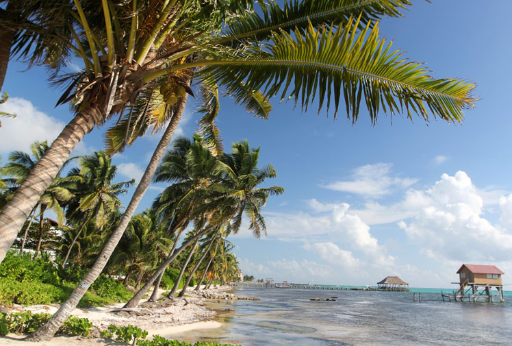 Ɲ˹uAmbergris Caye