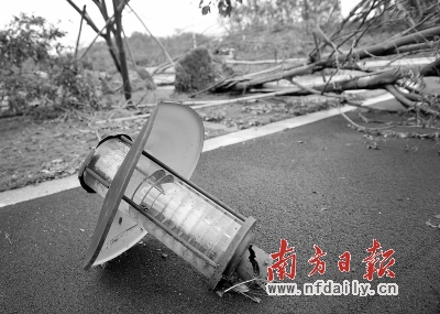 路燈被“斬首”,樹木連根拔起。 路燈被“斬首”,樹木連根拔起。