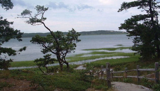 加利佛尼亞州約塞米蒂國家公園——蓋洛湖步道 加利佛尼亞州約塞米蒂國家公園——蓋洛湖步道