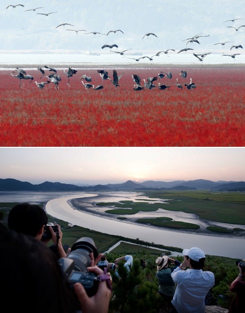 地球的庭院--韓國順天灣2013國際園藝博覽會 地球的庭院--韓國順天灣2013國際園藝博覽會