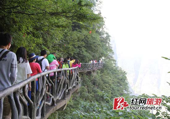 鬼谷棧道綠樹(shù)成蔭,也是山中觀(guān)云霧奇觀(guān)的最佳地。 鬼谷棧道綠樹(shù)成蔭,也是山中觀(guān)云霧奇觀(guān)的最佳地。