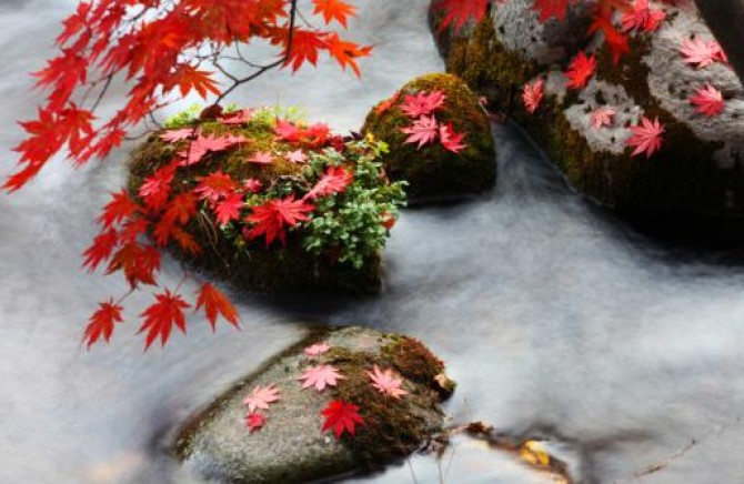 天橋溝引領都市新時尚 最接近自然的人間仙境 天橋溝引領都市新時尚 最接近自然的人間仙境