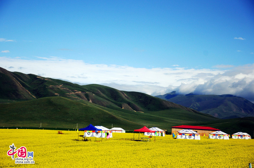 路邊的風(fēng)景。 路邊的風(fēng)景。