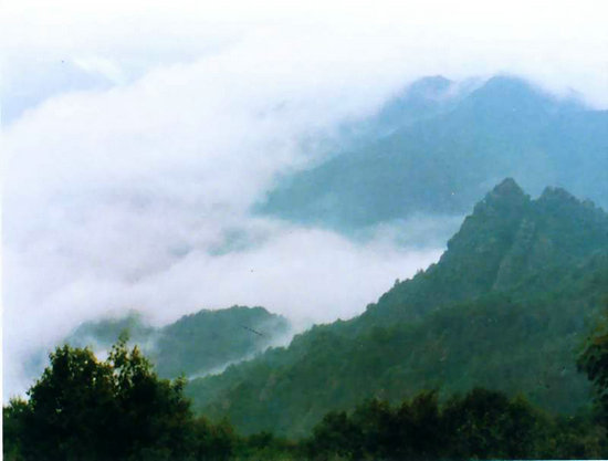 百花山云海 百花山云海
