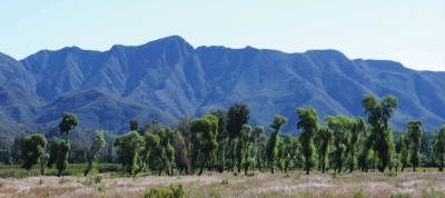 ľ(zhn)ָɽL(fng)^(q)