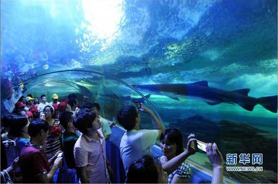 青島海底世界 青島海底世界
