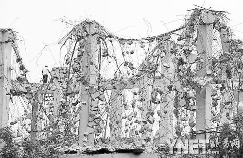 北京頤和園周邊拆違建 預計年內環境面貌將大為改善 北京頤和園周邊拆違建 預計年內環境面貌將大為改善