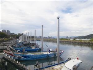 五花八門寶島海鮮"吃透透" 五花八門寶島海鮮"吃透透"