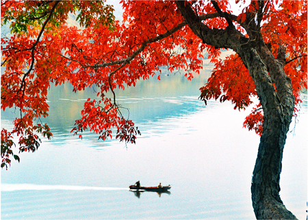 吉林紅石國家森林公園