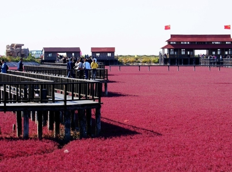 盤錦紅海灘 盤錦紅海灘