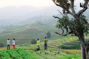 1027磬zӰۺںָɽëĔzɫ