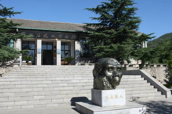 周口店遺址博物館 周口店遺址博物館