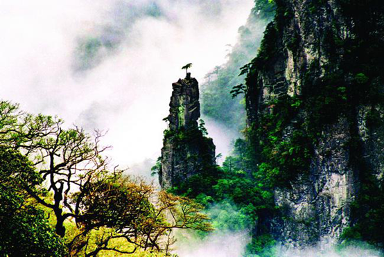 梵凈山生態旅游區 梵凈山生態旅游區