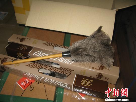 檢驗檢疫局在進境集裝箱中截獲的鴕鳥羽毛制作的刷子 檢驗檢疫局在進境集裝箱中截獲的鴕鳥羽毛制作的刷子