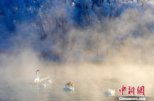 霧氣中的天鵝湖如同仙境 霧氣中的天鵝湖如同仙境