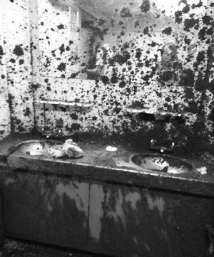 ܇Ó܉܇(ni)RM{һƬǽ塣