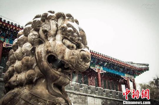承德初雪 網(wǎng)友供圖 攝