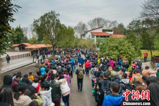 武夷山景區(qū)游人如織,秩序井然 彭善安 攝