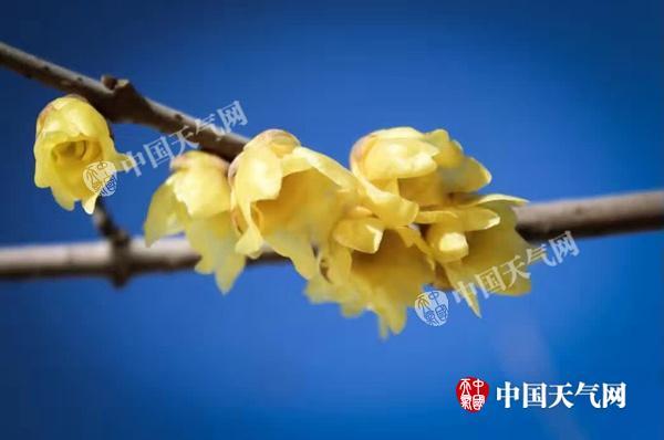 pձům˳ ҹgҊD(zhun)