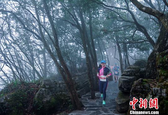 運動員正在天門山的原始森林中奔跑。