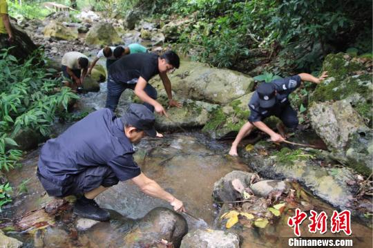 游客在西雙版納放生“生態殺手”鱷龜涉嫌違法將被罰
